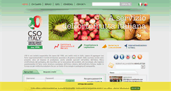 Desktop Screenshot of csoservizi.com