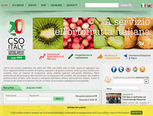 Tablet Screenshot of csoservizi.com
